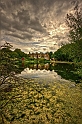 Hampstead Heat